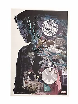 Marvel Agents Of Shield Ragtag Lithograph Print Art Of Level 7 Emma Rios 58/100 • $53.99