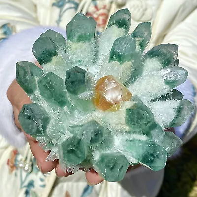 1.51LB Green Ghost Cluster Quartz Crystal Mineral Specimen • $0.99