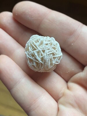 $0.50 • Buy Desert Rose Selenite Stone Specimens Healing Crystals