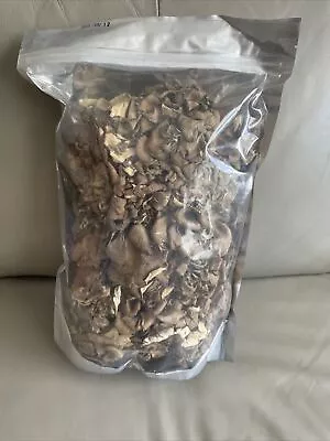 9 Oz Maitake Mushrooms ( Hen Of The Woods ) Dry • $18.75