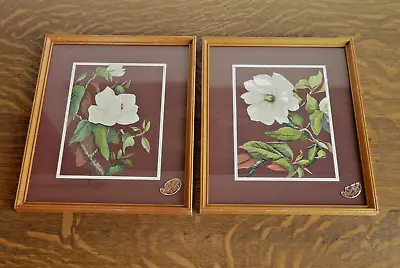 *Moderncraft Pictures California*  2 Framed Art Prints ~ Magnolia Blossoms ~ MCM • $22