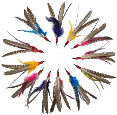 Go Cat Da Bird “Super Refill” 12-Pack (Genuine Guinea Feathers) • $54.99