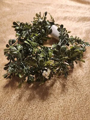 Ashland Mistletoe And White Berry Garland • $8