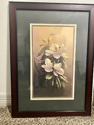 ANTIQUE MAGNOLIA By R. C. Davis FRAMED • $30