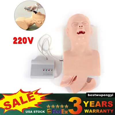 $229.02 • Buy Adult Intubation Manikin Teaching Model Airway Management Trainer Oral Nasal PVC