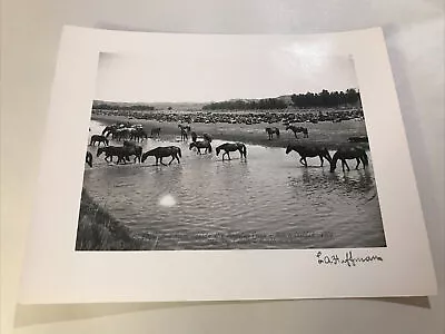 Original Steriograph Copy From The LA Huffman Estate Montana Lanscape • $175