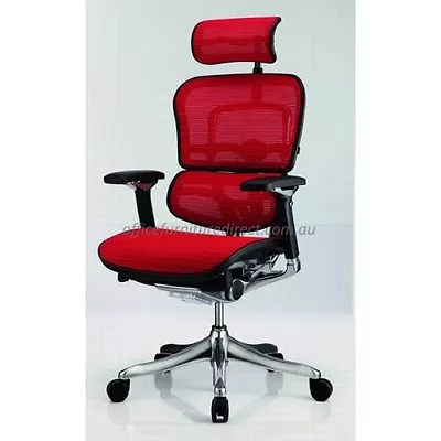 $897 • Buy Ergohuman Chair Deluxe Mesh Elite Plus Gaming Ergonomic Executive Office Chairs