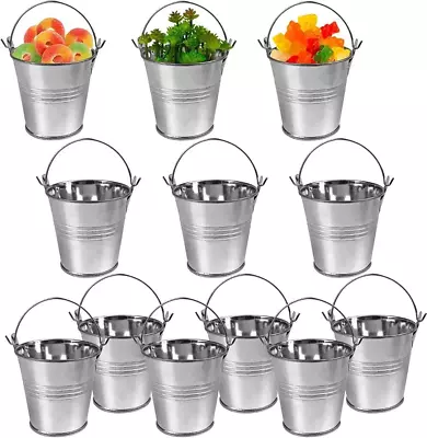 12 Pack Mini Metal Buckets Small Metal Pail Tinplate Tin Pails Containers With H • $21.96