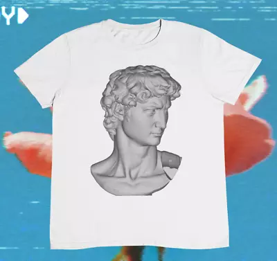 3D David Of Michelangelo T Shirt - %100 Premium Cotton • $16.12