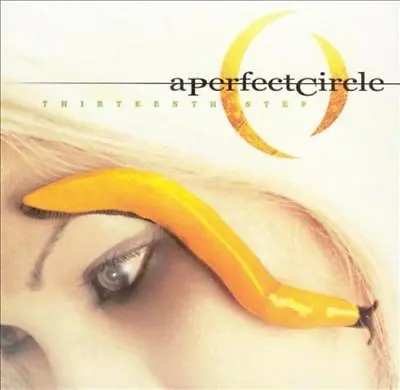 A Perfect Circle - Thirteenth Step New Cd • $13.37