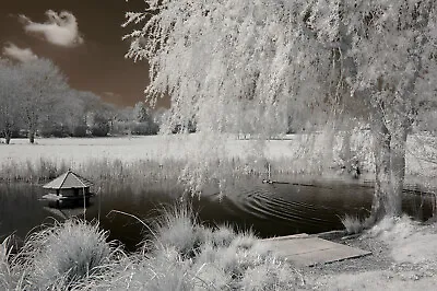 £169 • Buy Nikon D3000 Infrared Converted Camera 720nm Standard Infrared Converted 720 Nm