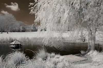 £139 • Buy Nikon D50 Infrared Converted Camera 720nm Standard Infrared Converted Camera IR