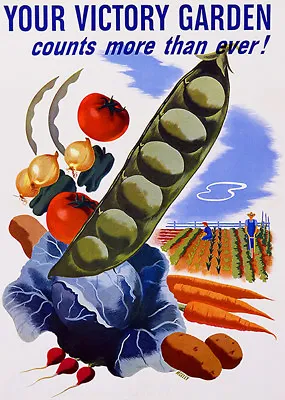 Your Victory Garden - World War II - Propaganda Poster • $9.99