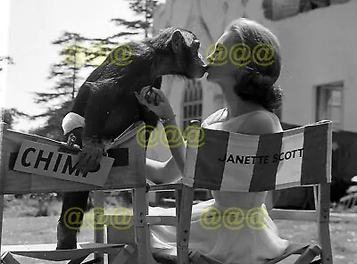 Photo - Janette Scott & Chimpanzee Polly On The Set Of  The Old Dark House  • £4.95