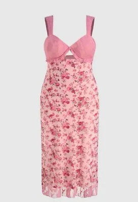 Cider Maxi Dress Womens V Neck Lace Floral XL Lined Pink New Plus Size • $15