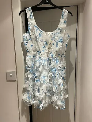 Stunning Miss Selfridge Dress Size 14 BNWT RRP £65 • £4.99