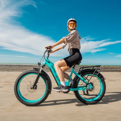 $2799 • Buy Electric Bike Adults 750W 48V 17Ah 26  Fat Tire Ebike Mountain Electric Bicycle