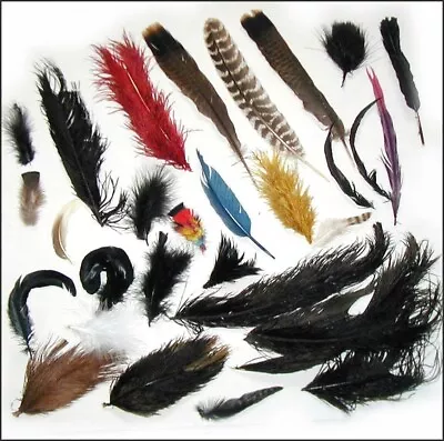 Antique  MILLINERY FEATHERS LOT Crafts Theater Costumes Hats Fascinators 1900s • $45