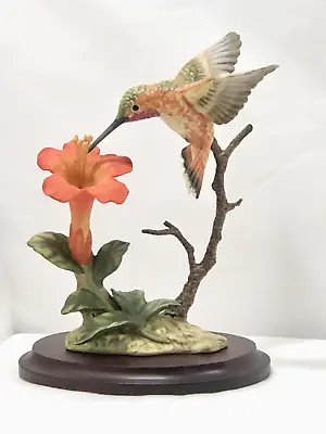 Vtg Maruri Rufous Hummingbird With Trumpet Creeper Bird Figurine  H-8901 & Base • $74.99