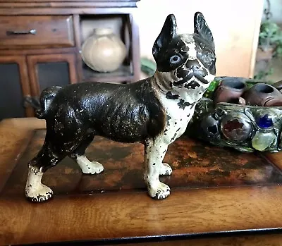 ANTIQUE “REAL” TERRIER CAST IRON DOORSTOP  COIN BANK HUBLEY. 100 Plus Years Old. • $150