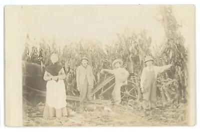 RPPC Farming Machinery Horse Drawn Plow Large Corn Harvest Real Photo Postcard • $7.99