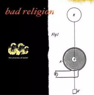 Bad Religion The Process Of Belief (Vinyl) 12  Album • $30.20