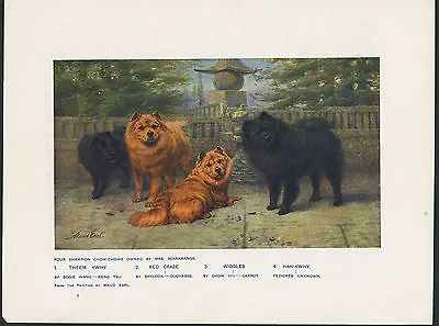 CHOW CHOW NAMED DOGS ANTIQUE 1907 DOG ART PRINT By The Famous Artist MAUD EARL • $16.16