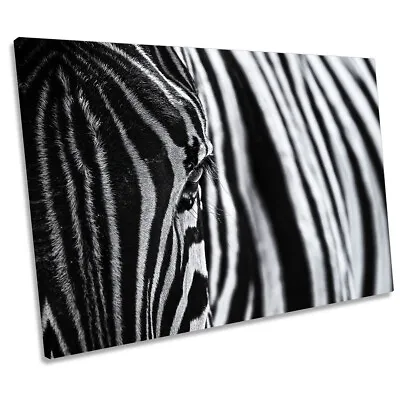 Zebra Stripes Black And White CANVAS WALL ART Print Picture • £23.99
