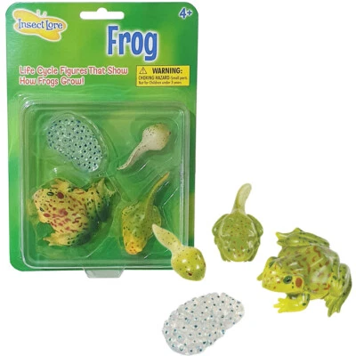 £9.99 • Buy Insect Lore Life Cycle Animal Figure Set Choose Frog, Ant, Ladybug Or Butterfly