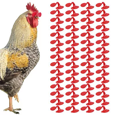 60 Pieces Pinless Chicken Glasses Avoid Hen Rooster Creative Anti-Pecking Eyes • $8.63