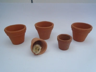 £4.99 • Buy Dolls House 5 X Terracotta Flower Plant Pots   Miniature Garden Accessories