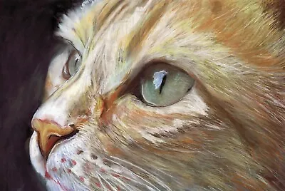 £10 • Buy Ginger Cat Art Print, Cat Owner Gift, Feline Pastel Art Signed By Artist A4 A3 