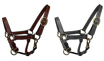Equitem Mini/Miniature Size Leather Halter With Brass Hardware • $23.99