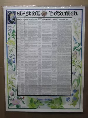 Celestial Botanica Herbs Vintage Poster Food Kitchen 1973 Culinary 19839 • $45