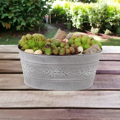 Sempervivum Leafy Vine Trough Planter • £26
