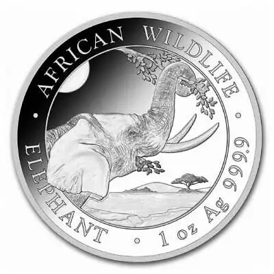 2023 1 Oz Somalia Elephant Silver Coin • $40.54