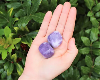 2 (Two) Pieces Of Lepidolite Tumbled Stones (Crystal Healing Purple Stone) • $7.15
