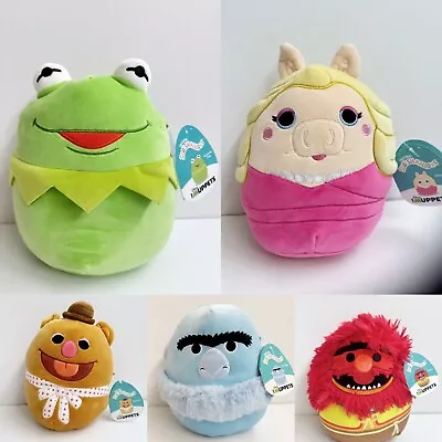 2024 New Squishmallows 8” Everyday Muppets Set Of 5 • $99