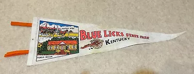 Vintage Souvenir Pennant • Blue Licks State Park • Colorful Felt Pennant 8x24 • $13.58