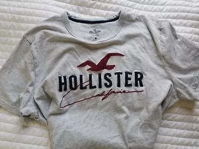 Hollister Men's Embroidered Graphic T-Shirt Crew Neck Short Sleeve  Gray Large • $20