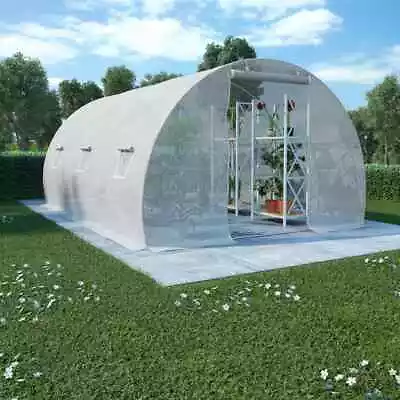 Greenhouse With Steel Foundation Outdoor Garden Warm House Multi Sizes VidaXL • $224.99
