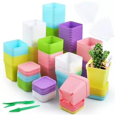 120 Pack Mini Plastic Planters 3 Inch Flower Seedling Nursery Pots With Pallet • $42.93