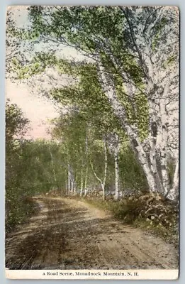 A Road Scene   Monadnock Mountain  New Hampshire  Postcard  1912 • $6