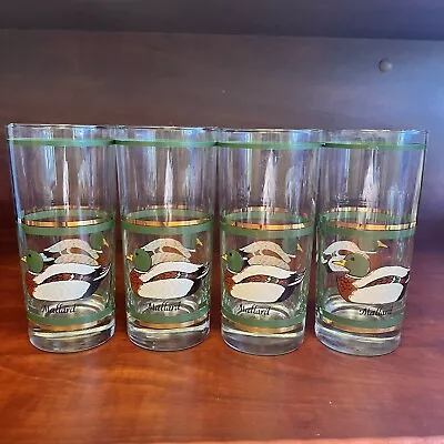 4 Vintage LIBBEY MALLARD DUCK Tall Glasses MCM Barware High Ball Gold Accent (c) • $39.99