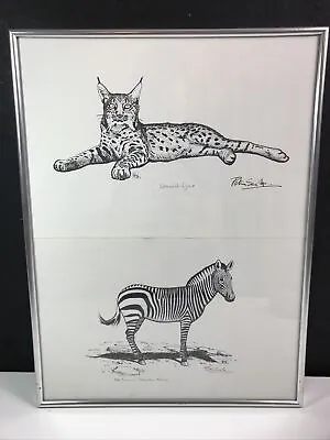 £25 • Buy Framed Peter Scott Signed Art Prints Set Of 2 Lynx & Zebra Plastic Frame