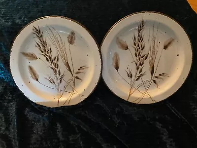 TWO Stonehenge Midwinter Wild Oats Bread & Butter Plates DINNERWARE DECORATIVE  • $14.99