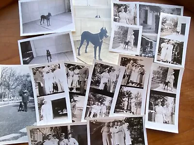 Lot Of Vintage Photographs Of Fancy Women In Hats W/ Doberman Pinscher Dog • $14.99