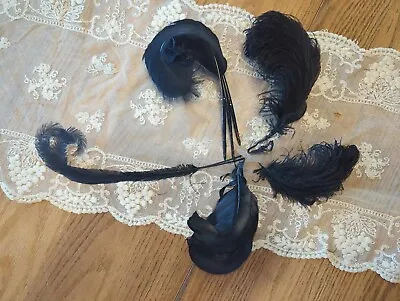 Antique Victorian Edwardian Titanic Lot Of 5 Millinery Feathers • $25