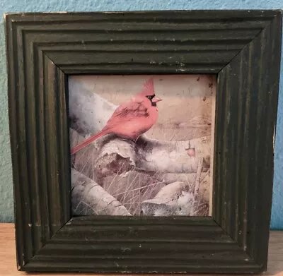 Marjolein Bastin Northern Cardinal Framed Print 7.5  X 7.5  • $40