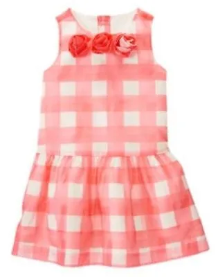 NWT GYMBOREE PICNIC PARTY PINK GINGHAM ROSETTE DRESSY Wedding DRESS Easter • $9.89